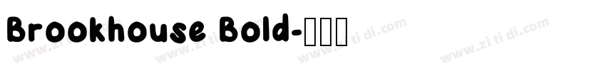 Brookhouse Bold字体转换